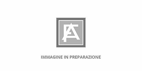 Calamita del Buon Pastore Sagomata, Magnete / Calamita Decorativa con Personaggio Religioso Cattolico, in Busta Singola, 5,2 cm  x 8,6 cm, Versione Spagnolo