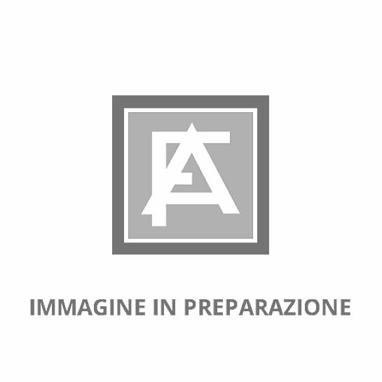 Calamita San Vito Sagomata, Magnete / Calamita Decorativa con Personaggio Religioso Cattolico, in Busta Singola, 5,2 cm  x 8,6 cm, Versione Inglese