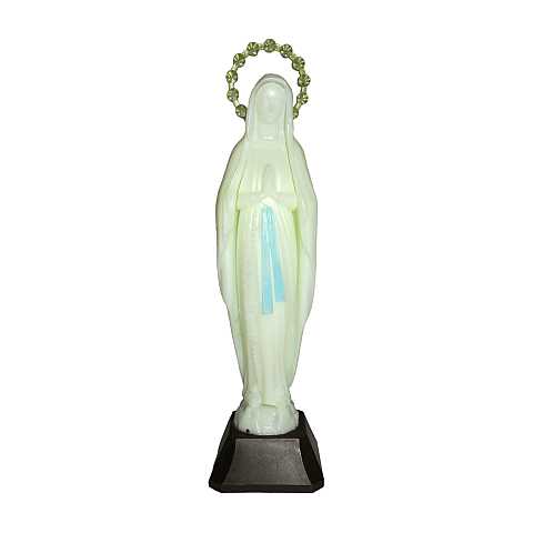 Statua Madonna Miracolosa, Plastica Fosforescente, si Illumina al Buio, 30 Centimetri Circa