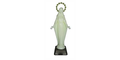Statua Madonna Miracolosa fosforescente 20 cm