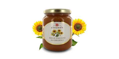 Miele Italiano di Girasole, 12 Vasetti da 500 Grammi (Tot. 6 kg)