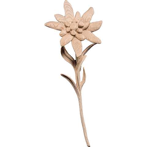 Stella alpina in legno naturale, linea da 35 cm - Demetz Deur