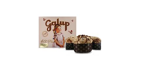 Galup Colomba con Gocce di Cioccolato, Scatola Regalo, Sfornata in Italia, 750g