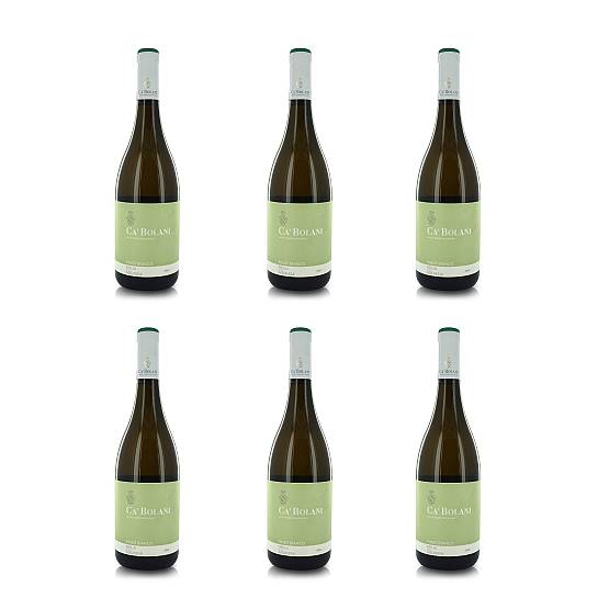 Ca' Bolani Vino Pinot Bianco Friuli DOC Aquileia, 6 x 750 Ml